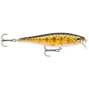 Rapala Wobler BX Minnow 10 cm Barva: BX Minnow 10 TR