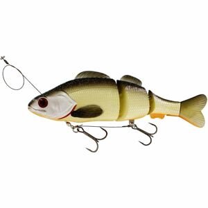 Westin Wobler Percy the Perch HL Inline Sinking 20cm Barva: Sinking Official Roach