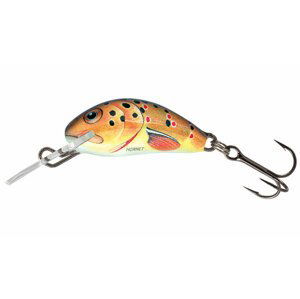 Salmo Wobler Hornet Floating 3,5cm Barva: Trout