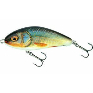Salmo Fatso Sinking Real Roach 10 cm 52 g
