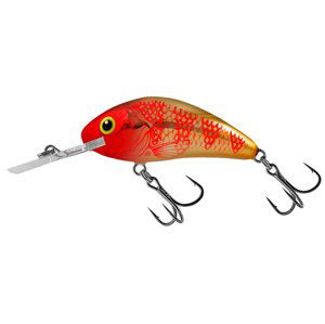 Salmo wobler rattlin hornet floating golden red head - 3,5 cm 3,1 g