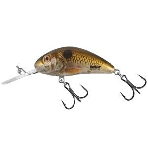 Salmo wobler rattlin hornet floating pearl shad clear - 3,5 cm
