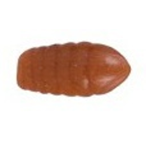 Saenger ms range gumová nástraha larva svěle hnědá lb /20ks