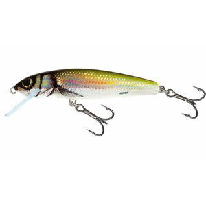 Salmo wobler minnow floating holo bleak - 6 cm 4 g