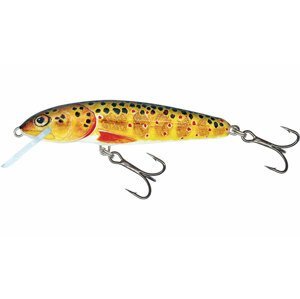 Salmo wobler minnow floating trout - 6 cm 4 g
