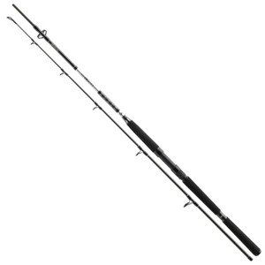 Daiwa Prut BG Offshore Pilk 2,4m 50-165g 2-díl