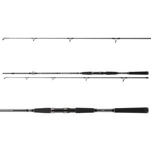 Daiwa Prut Seahunter X Pilk Cod 2,4m 100-200g 2-díl