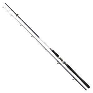 Daiwa Prut Grandwave Pollock 2,4m 40-100g 2-díl