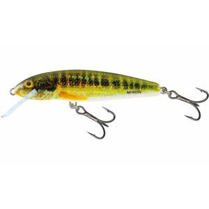 Salmo Plovoucí Wobler Minnow Floating - 5cm Barva: Holo Real Minnow