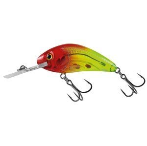 Salmo Wobler Rattlin Hornet Clear Floating Clear  4,5cm Barva: Bright Red Head