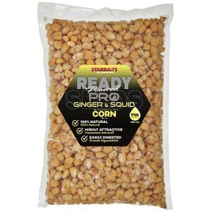 Starbaits Kukuřice Ready Seeds Pro Ginger Squid 1 kg