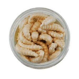 Berkley vosí larvy PowerBait Power Honey Worm 2,5cm Natural 55ks