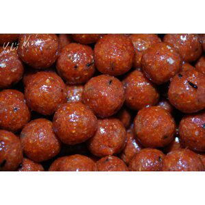 LK Baits Euro Economic Boilies Chilli Squid  5kg, 20 mm