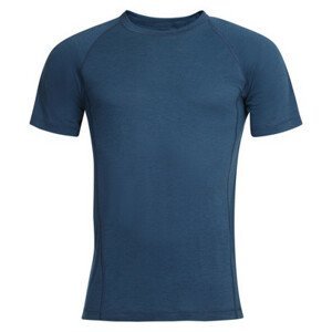 Pánské triko Alpine Pro Revin Velikost: S / Barva: modrá