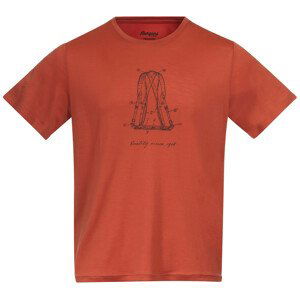 Pánské triko Bergans Graphic Wool Tee Velikost: M / Barva: červená