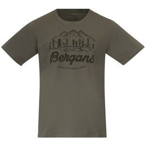 Pánské triko Bergans Classic V2 Tee Velikost: L / Barva: zelená
