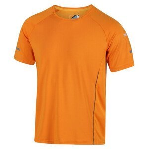 Pánské triko Regatta Highton Pro Tee Velikost: M / Barva: oranžová