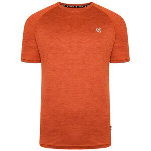 Pánské triko Dare 2b Persist Tee Velikost: S / Barva: oranžová
