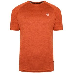 Pánské triko Dare 2b Persist Tee Velikost: L / Barva: oranžová