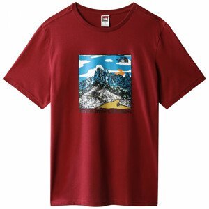 Pánské triko The North Face M Seasonal Graphic Tee Velikost: M / Barva: červená