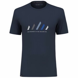Pánské triko Salewa Pure Stripes Dry M T-Shirt Velikost: M / Barva: modrá