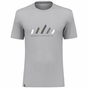 Pánské triko Salewa Pure Stripes Dry M T-Shirt Velikost: M / Barva: šedá