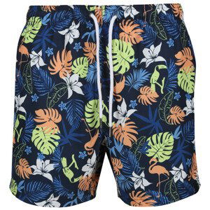 Pánské kraťasy Regatta Loras Swim Short m Velikost: XL / Barva: modrá