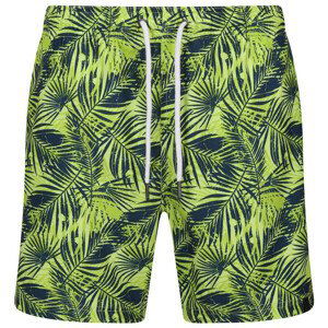 Pánské kraťasy Regatta Loras Swim Short m Velikost: XXXL / Barva: zelená