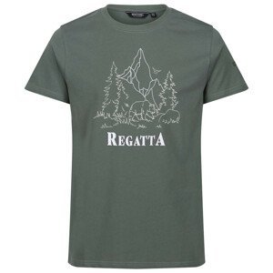 Pánské triko Regatta Cline VII Velikost: 4XL / Barva: tmavě zelená