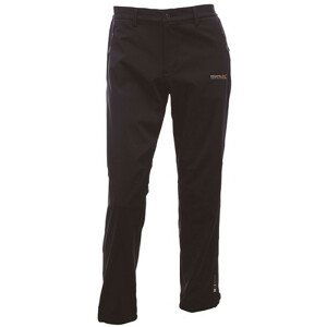 Pánské kalhoty Regatta Geo Softshell ll Trousers (Reg Velikost: L / Barva: šedá