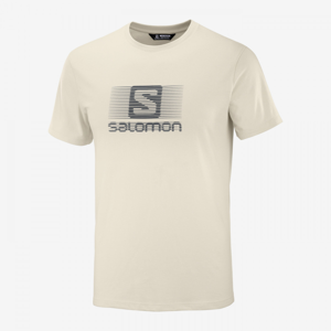 Pánské triko Salomon Blend Logo SS Tee M Velikost: L / Barva: bílá