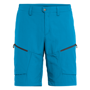 Pánské kraťasy Salewa Puez Dry M Shorts Velikost: XL / Barva: světle modrá