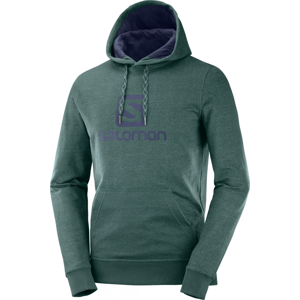 Pánská mikina Salomon Logo Hoodie M Velikost: L / Barva: zelená