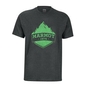 Pánské triko Marmot Mono Ridge Tee SS Velikost: M / Barva: šedá