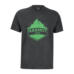 Pánské triko Marmot Mono Ridge Tee SS Velikost: L / Barva: šedá