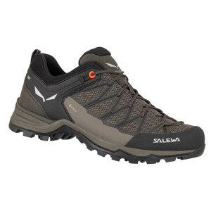 Pánské boty Salewa Ms Mtn Trainer Lite Gtx Velikost bot (EU): 42,5 / Barva: šedá