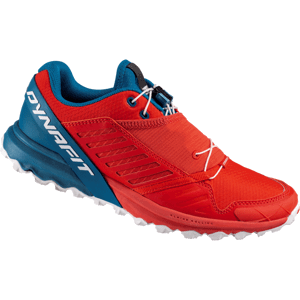 Pánské boty Dynafit Alpine Pro Velikost bot (EU): 42 / Barva: červená/modrá
