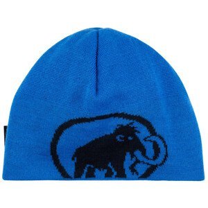 Čepice Mammut Tweak Beanie Barva: modrá