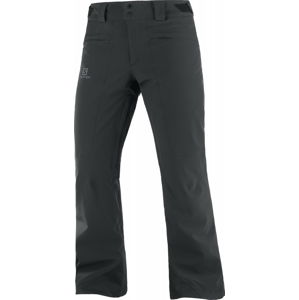 Pánské kalhoty Salomon Untracked Pant M Velikost: XL / Délka kalhot: regular / Barva: černá