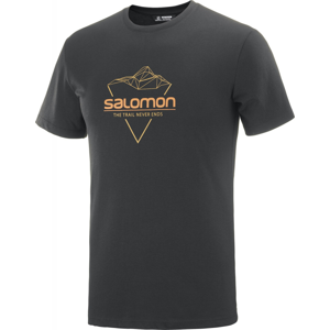 Pánské triko Salomon Blend Logo Tee M Velikost: XL / Barva: černá