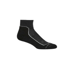 Dámské ponožky Icebreaker W Hike+ Light Mini Velikost ponožek: 38-40 / Barva: šedá