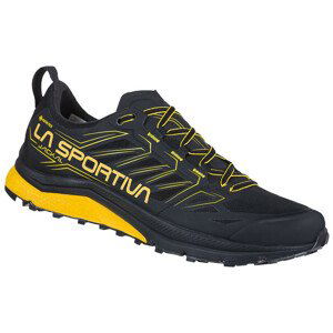 Pánské boty La Sportiva Jackal GTX Velikost bot (EU): 46 / Barva: černá