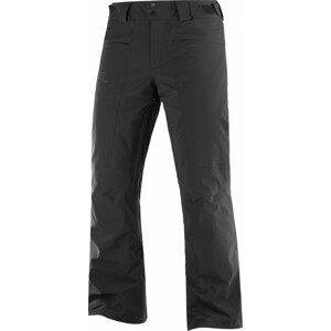 Pánské kalhoty Salomon Brilliant M Velikost: L / Barva: černá