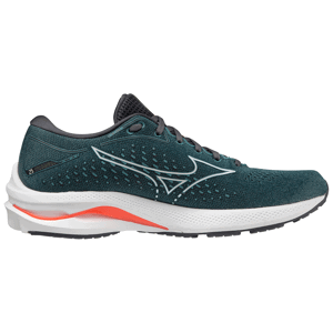 Pánské boty Mizuno Wave Rider 25 Velikost bot (EU): 46 / Barva: modrá