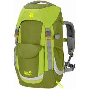 Jack Wolfskin Kids Explorer 20 Zelený čaj 20 L Outdoorový batoh