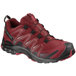 Salomon XA Pro 3D GTX Red Dahlia/Black/Barbados Cherry 10