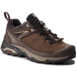 Salomon X Ultra 3 Ltr GTX Delicioso/Bungee Cord/Vintage Kaki 11