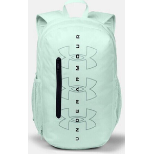 Under Armour Roland Backpack Blue