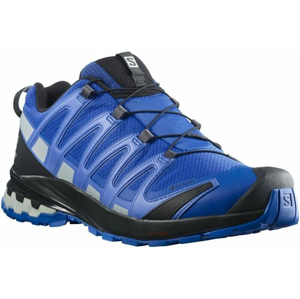 Salomon XA Pro 3D v8 GTX Turkish Sea/Black/Pearl Blue 44 2/3