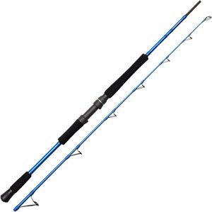 Savage Gear SGS4 Boat Game 1,9 m 150 - 400 g 2 díly